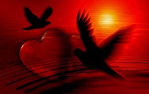 Programmi fedeltà delle farmacie: quali sono davvero vantaggiosi